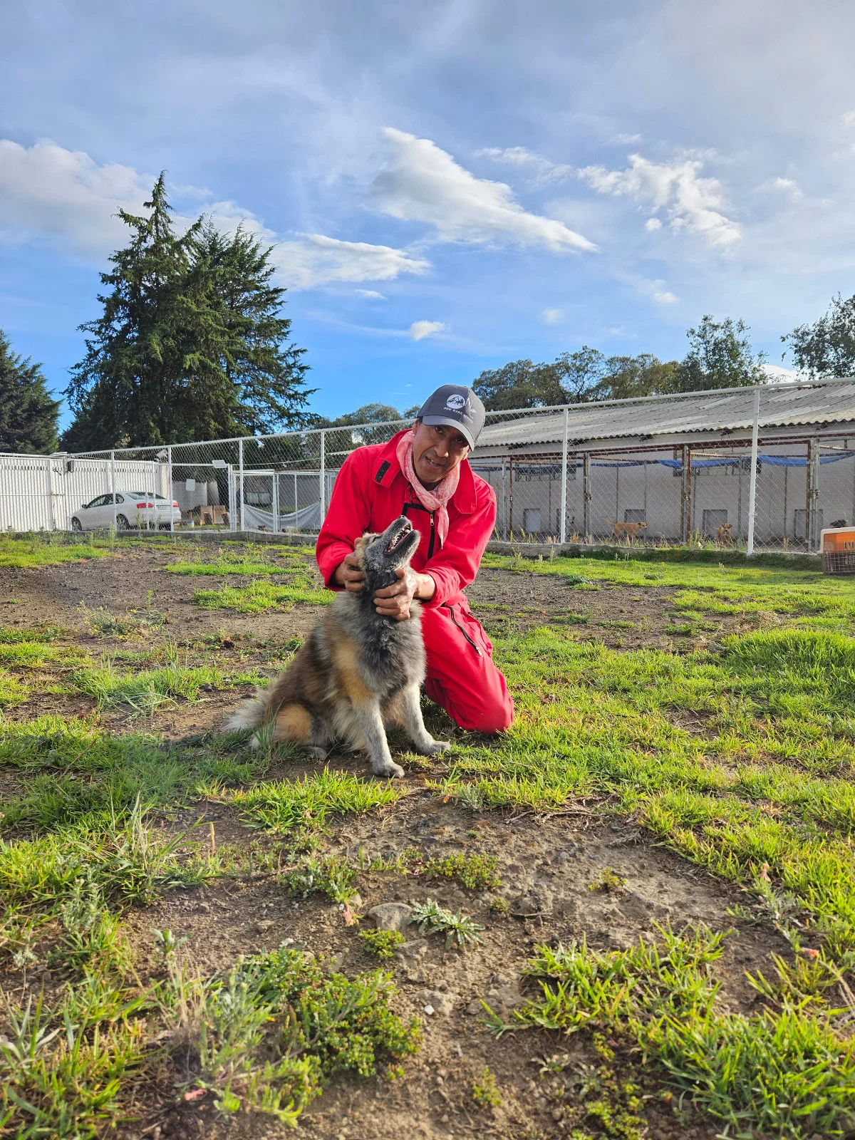 perro Niza Campestre en Metepec y Toluca