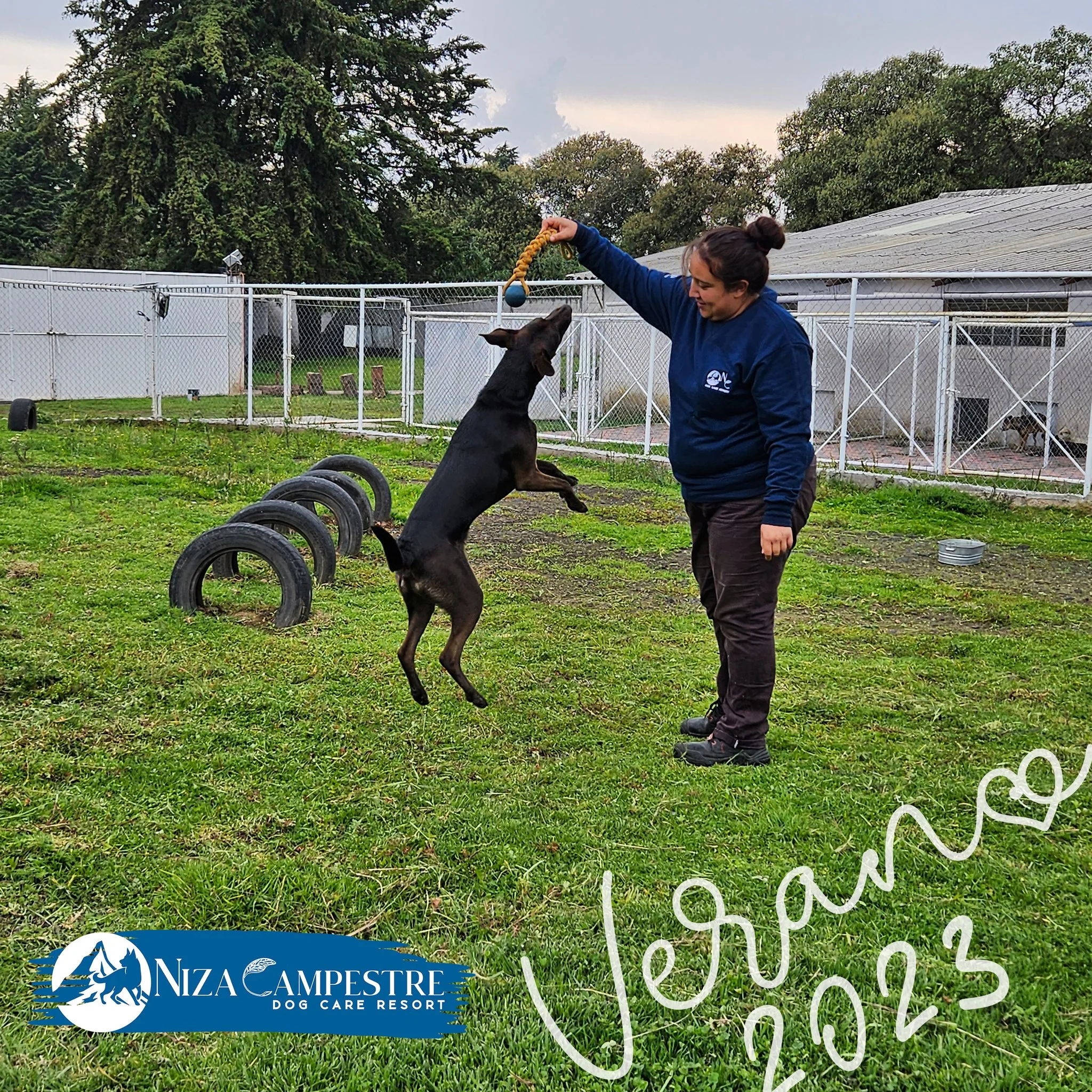 perro en pensión canina y gardería Niza Campestre en Metepec y Toluca